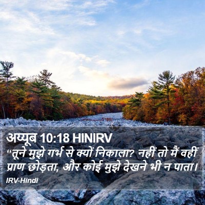 अय्यूब 10:18 HINIRV Bible Verse Image