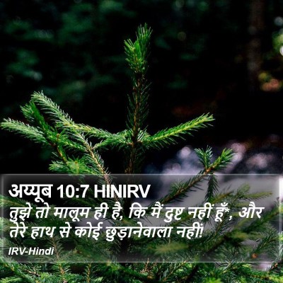 अय्यूब 10:7 HINIRV Bible Verse Image