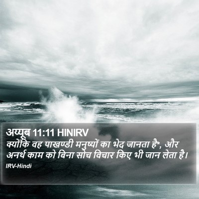 अय्यूब 11:11 HINIRV Bible Verse Image