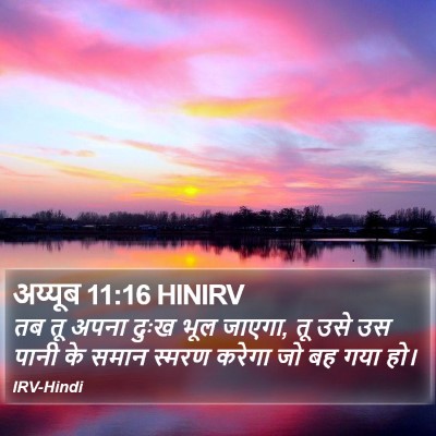 अय्यूब 11:16 HINIRV Bible Verse Image