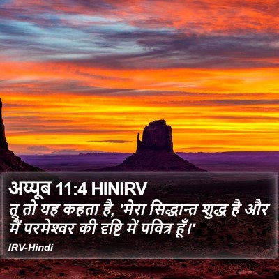 अय्यूब 11:4 HINIRV Bible Verse Image