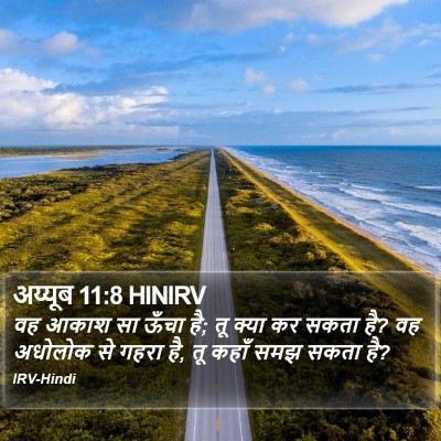 अय्यूब 11:8 HINIRV Bible Verse Image