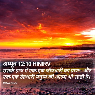 अय्यूब 12:10 HINIRV Bible Verse Image