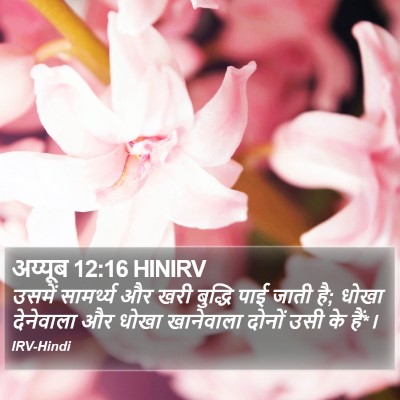 अय्यूब 12:16 HINIRV Bible Verse Image