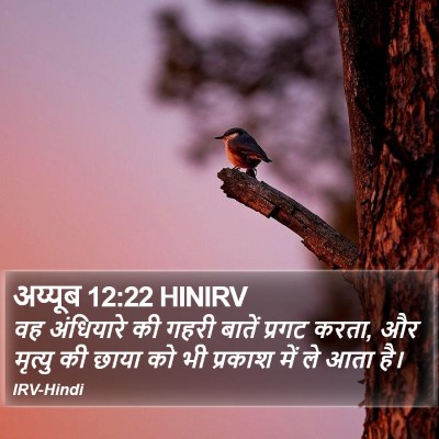 अय्यूब 12:22 HINIRV Bible Verse Image
