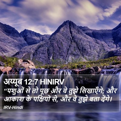 अय्यूब 12:7 HINIRV Bible Verse Image
