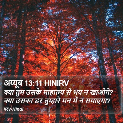 अय्यूब 13:11 HINIRV Bible Verse Image