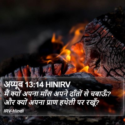 अय्यूब 13:14 HINIRV Bible Verse Image