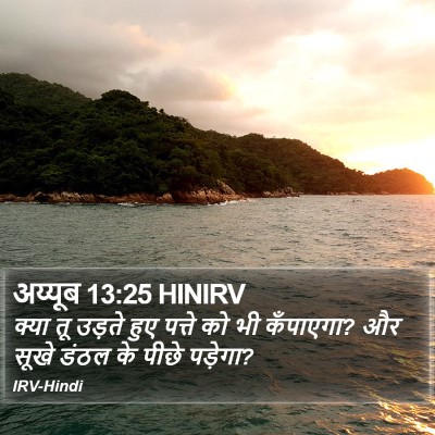 अय्यूब 13:25 HINIRV Bible Verse Image