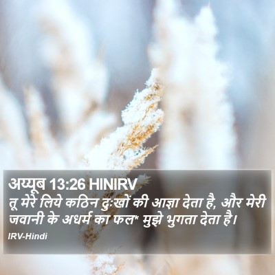 अय्यूब 13:26 HINIRV Bible Verse Image