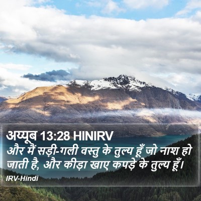 अय्यूब 13:28 HINIRV Bible Verse Image