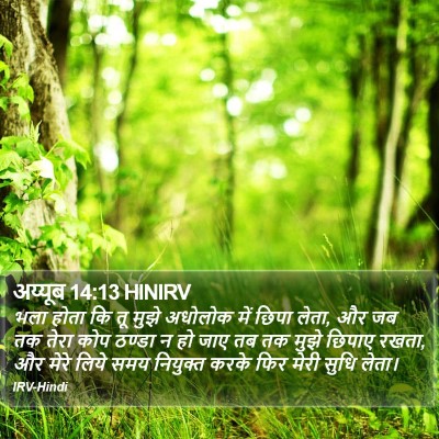 अय्यूब 14:13 HINIRV Bible Verse Image
