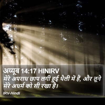 अय्यूब 14:17 HINIRV Bible Verse Image
