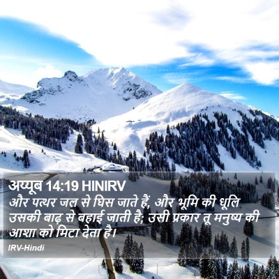 अय्यूब 14:19 HINIRV Bible Verse Image