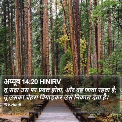 अय्यूब 14:20 HINIRV Bible Verse Image