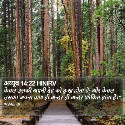 अय्यूब 14:22 HINIRV Bible Verse Image