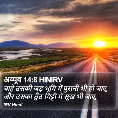 अय्यूब 14:8 HINIRV Bible Verse Image