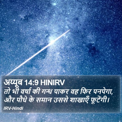 अय्यूब 14:9 HINIRV Bible Verse Image