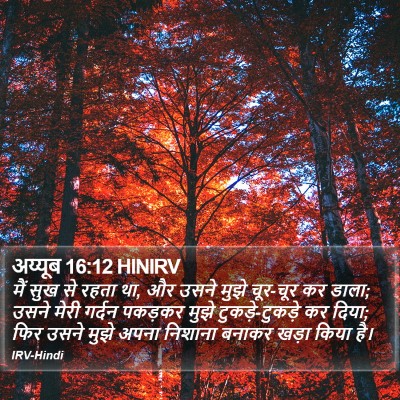 अय्यूब 16:12 HINIRV Bible Verse Image