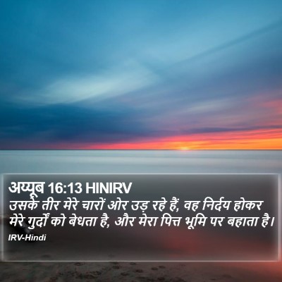अय्यूब 16:13 HINIRV Bible Verse Image