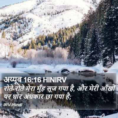 अय्यूब 16:16 HINIRV Bible Verse Image