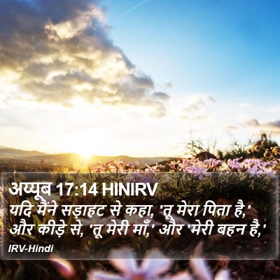 अय्यूब 17:14 HINIRV Bible Verse Image
