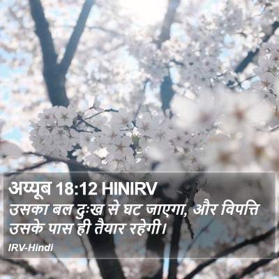 अय्यूब 18:12 HINIRV Bible Verse Image