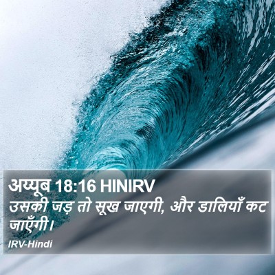 अय्यूब 18:16 HINIRV Bible Verse Image