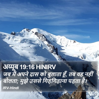 अय्यूब 19:16 HINIRV Bible Verse Image