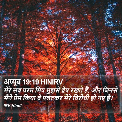अय्यूब 19:19 HINIRV Bible Verse Image