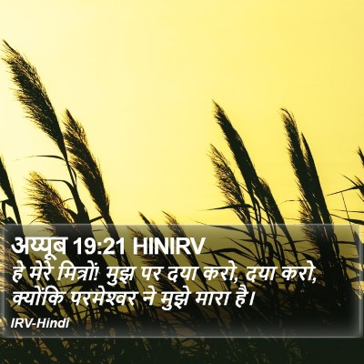 अय्यूब 19:21 HINIRV Bible Verse Image