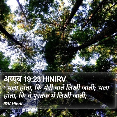 अय्यूब 19:23 HINIRV Bible Verse Image