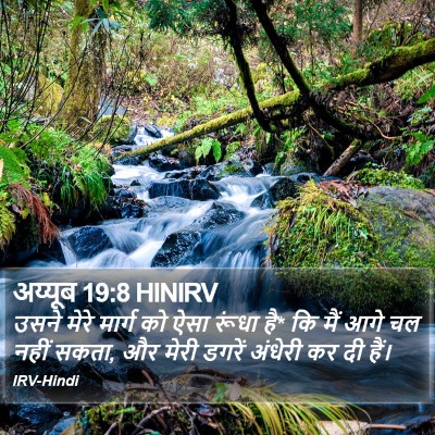 अय्यूब 19:8 HINIRV Bible Verse Image