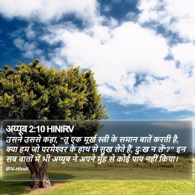 अय्यूब 2:10 HINIRV Bible Verse Image