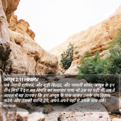 अय्यूब 2:11 HINIRV Bible Verse Image