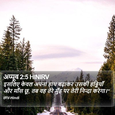 अय्यूब 2:5 HINIRV Bible Verse Image