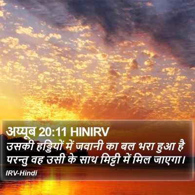 अय्यूब 20:11 HINIRV Bible Verse Image
