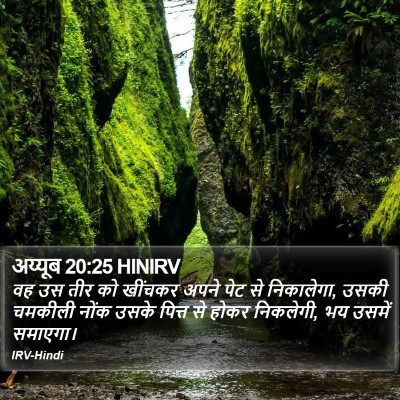 अय्यूब 20:25 HINIRV Bible Verse Image