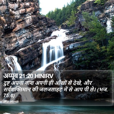 अय्यूब 21:20 HINIRV Bible Verse Image