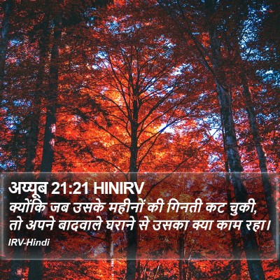 अय्यूब 21:21 HINIRV Bible Verse Image