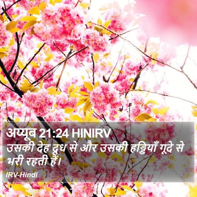 अय्यूब 21:24 HINIRV Bible Verse Image