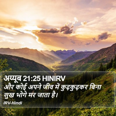 अय्यूब 21:25 HINIRV Bible Verse Image