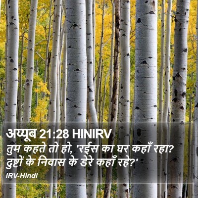 अय्यूब 21:28 HINIRV Bible Verse Image