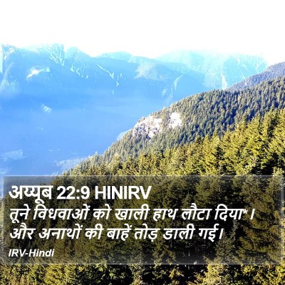 अय्यूब 22:9 HINIRV Bible Verse Image