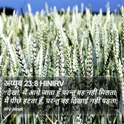 अय्यूब 23:8 HINIRV Bible Verse Image