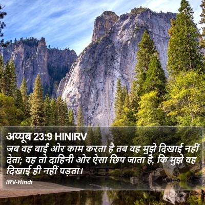 अय्यूब 23:9 HINIRV Bible Verse Image