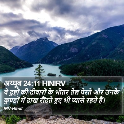 अय्यूब 24:11 HINIRV Bible Verse Image