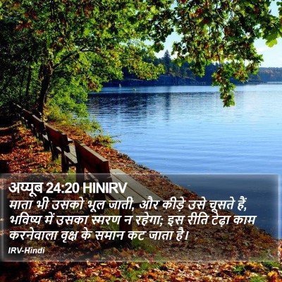 अय्यूब 24:20 HINIRV Bible Verse Image