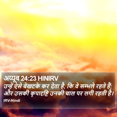 अय्यूब 24:23 HINIRV Bible Verse Image