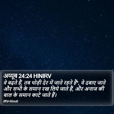 अय्यूब 24:24 HINIRV Bible Verse Image